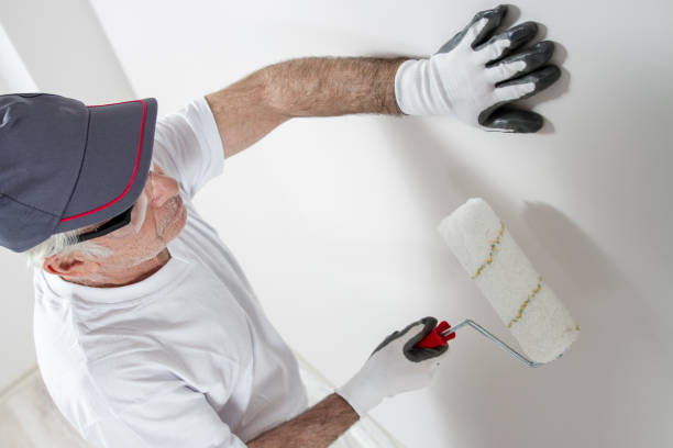 Best Dehumidification Services  in Henry, IL