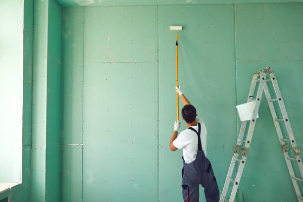 Best Mold Damage Restoration  in Henry, IL