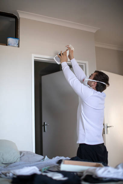 Professional Mold Removal in Henry, IL