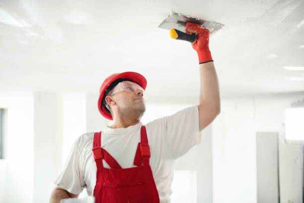 Best Mold Remediation for Healthcare Facilities  in Henry, IL