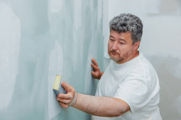 Best Environmental Consulting for Mold Prevention  in Henry, IL