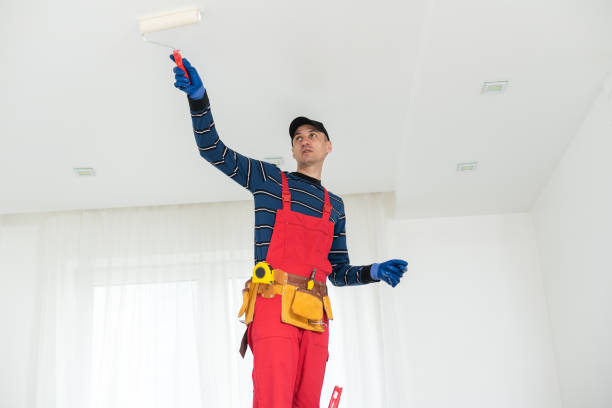 Best Attic Mold Removal  in Henry, IL