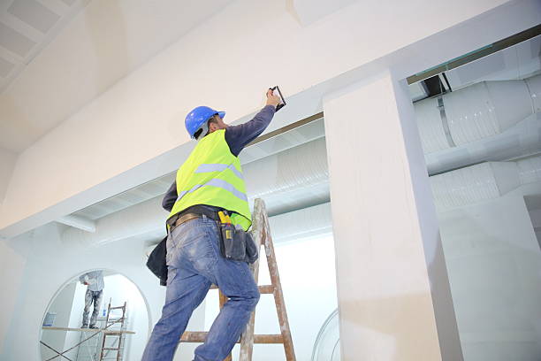 Best Commercial Mold Inspection  in Henry, IL